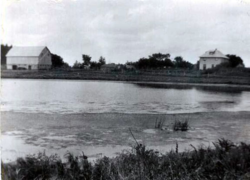 Cameron Farm